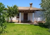 Xalet independent amb terreny en lloguer a la España, Chiclana de la Frontera, ref.: TR398481 foto
