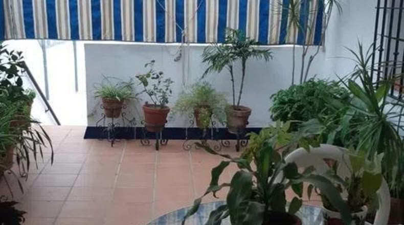 Sevilla - Alcalá de Guadaíra - 287m2