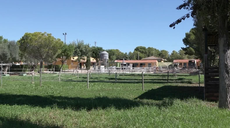 Valencia - Bétera - 17596m2