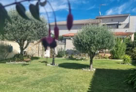 Foto 15