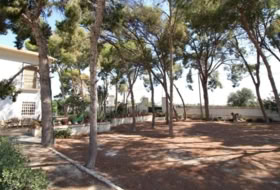 Foto 19