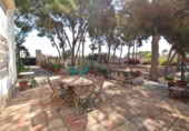 Xalet independent amb terreny en lloguer a la España, San Juan del Monte, ref.: TR398652 foto