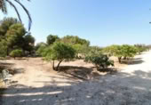 Xalet independent amb terreny en lloguer a la España, San Juan del Monte, ref.: TR398652 foto