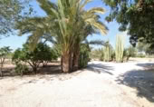 Xalet independent amb terreny en lloguer a la España, San Juan del Monte, ref.: TR398652 foto