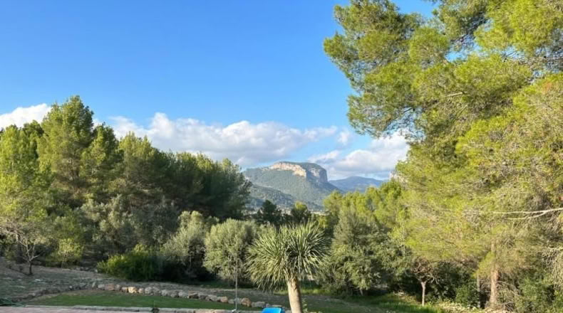 Illes Balears - Alaró - 26000m2