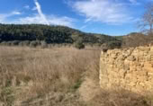 Detached villa with land for sale on España, Caseres, ref: TR399022 photo