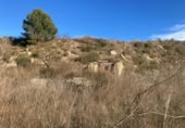 Detached villa with land for sale on España, Caseres, ref: TR399022 photo