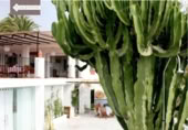 Casa de camp amb terreny en lloguer a la España, Estepona, ref.: TR398461 foto