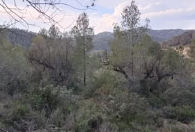 Móra d'Ebre 31073&nbsp;m² 