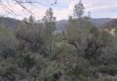 Terreno no urbanizable en venta en la España, Móra d'Ebre, ref: TR394765 foto