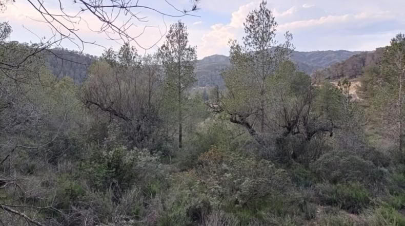Tarragona - Móra d'Ebre - 31073m2