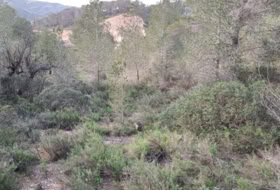 Móra d'Ebre 31073&nbsp;m² 