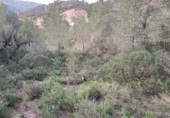 Terreno no urbanizable en venta en la España, Móra d'Ebre, ref: TR394765 foto