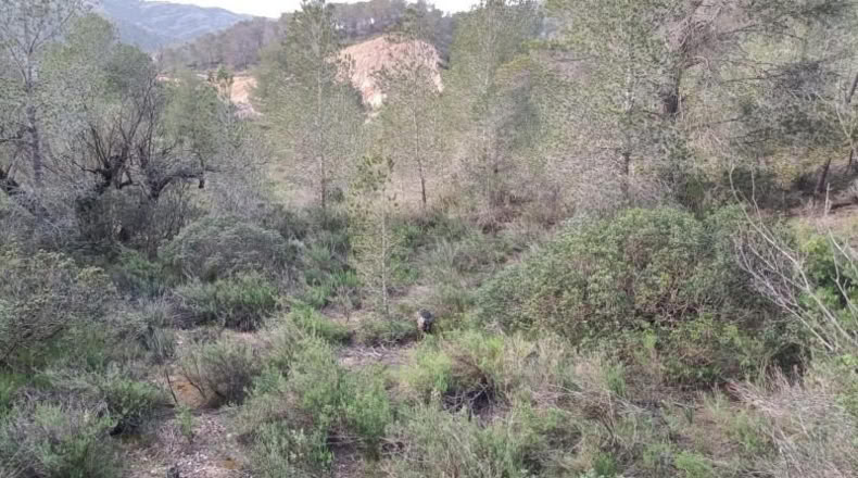 Tarragona - Móra d'Ebre - 31073m2