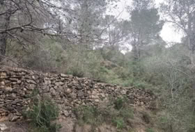Móra d'Ebre 31073&nbsp;m² 