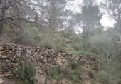 Terreno no urbanizable en venta en la España, Móra d'Ebre, ref: TR394765 foto
