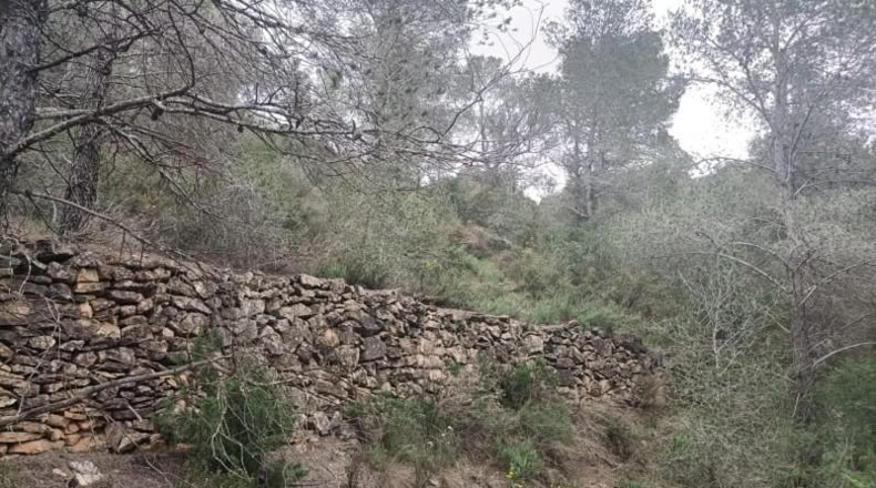 Tarragona - Móra d'Ebre - 31073m2