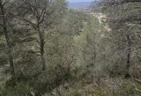 Móra d'Ebre 31073&nbsp;m² 