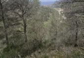 Terreno no urbanizable en venta en la España, Móra d'Ebre, ref: TR394765 foto