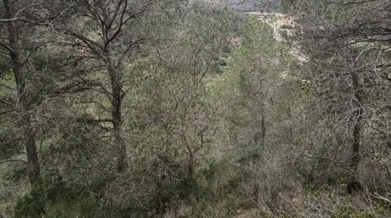 Tarragona - Móra d'Ebre - 31073m2