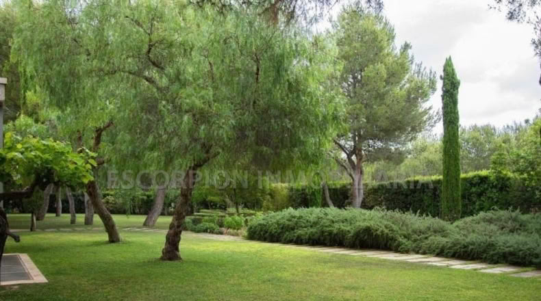 Valencia - Bétera - 1302m2