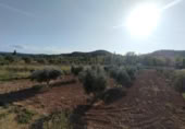 Chalet independiente con terreno en venta en la España, Torre del Compte, ref: TR398643 foto