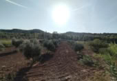 Chalet independiente con terreno en venta en la España, Torre del Compte, ref: TR398643 foto