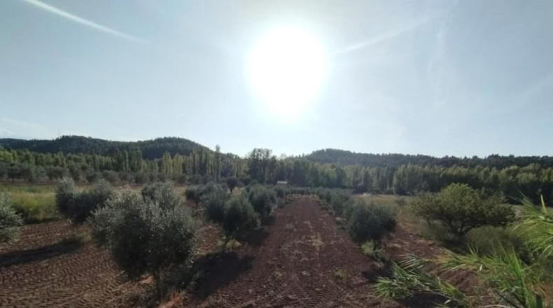 Teruel - Torre del Compte - 5098m2