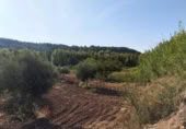 Chalet independiente con terreno en venta en la España, Torre del Compte, ref: TR398643 foto