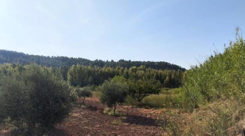 Teruel - Torre del Compte - 5098m2