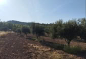 Chalet independiente con terreno en venta en la España, Torre del Compte, ref: TR398643 foto