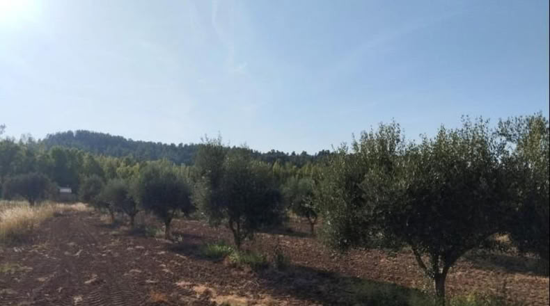 Teruel - Torre del Compte - 5098m2
