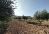 Chalet independiente con terreno en venta en la España, Torre del Compte, ref: TR398643 foto