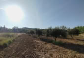 Chalet independiente con terreno en venta en la España, Torre del Compte, ref: TR398643 foto