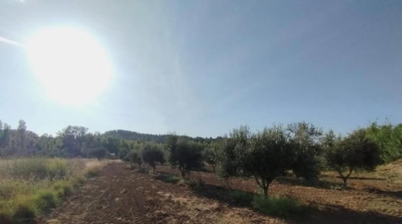Teruel - Torre del Compte - 5098m2