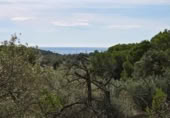 Detached villa with land for sale on España, l'Ametlla de Mar, ref: TR398591 photo