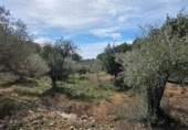 Detached villa with land for sale on España, l'Ametlla de Mar, ref: TR398591 photo