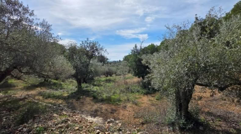 Tarragona - l'Ametlla de Mar - 11050m2