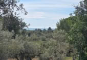 Detached villa with land for sale on España, l'Ametlla de Mar, ref: TR398591 photo