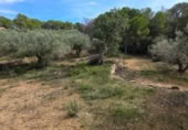 Detached villa with land for sale on España, l'Ametlla de Mar, ref: TR398591 photo