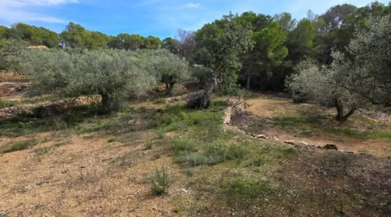 Tarragona - l'Ametlla de Mar - 11050m2