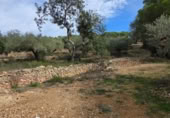 Detached villa with land for sale on España, l'Ametlla de Mar, ref: TR398591 photo