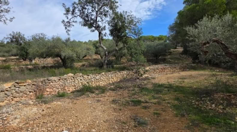 Tarragona - l'Ametlla de Mar - 11050m2