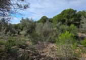 Detached villa with land for sale on España, l'Ametlla de Mar, ref: TR398591 photo