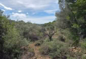 Detached villa with land for sale on España, l'Ametlla de Mar, ref: TR398591 photo