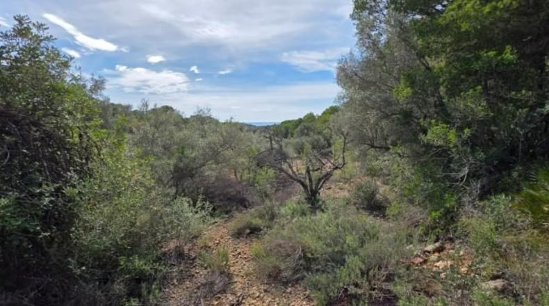 Tarragona - l'Ametlla de Mar - 11050m2
