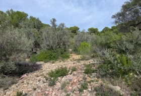 Foto 10
