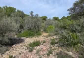 Detached villa with land for sale on España, l'Ametlla de Mar, ref: TR398591 photo