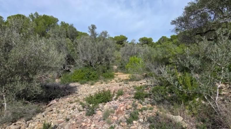Tarragona - l'Ametlla de Mar - 11050m2