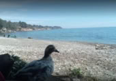 Detached villa with land for sale on España, l'Ametlla de Mar, ref: TR398591 photo
